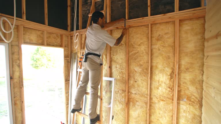 Professional Insulation in Caldwell, OH